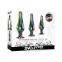 Набор из 3 радужных анальных пробок Rainbow Metal Plug Set (Evolved EN-BP-8539-2)